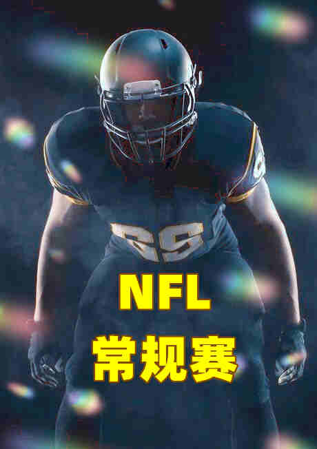 NFL常规赛-喷气机vs比尔-20221212